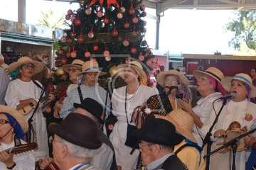 Narea abre como recova con ambiente navideño y de satisfacción general (Foto Francisco Javier Santana y TA)